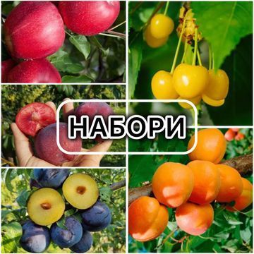 Наборы саженцев